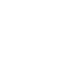 lunealeCup-V2@4x